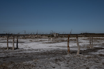Fototapeta na wymiar Salt Recovery Plant, Tres Lagunas, Province of Buenos Aires, Argentina.