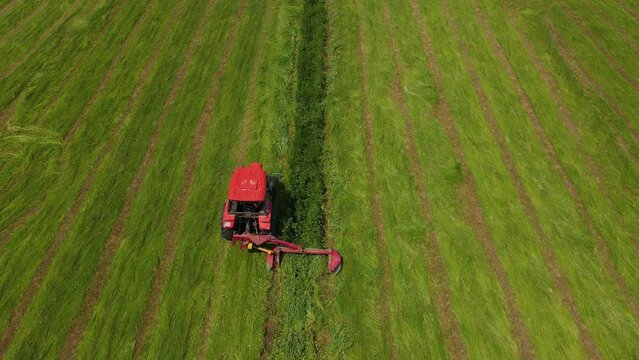 Aerial view farmer on tractor mowing hay on green grass meadow for livestock feeding. Work in agronomic farm for making business and production organic eco bio animal feed