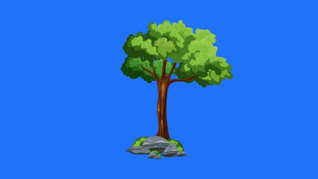 Animated video of tree growth. natural videos