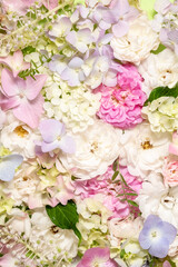 Delicate blooming roses and hydrangea flowers. Blooming pastel flowers, festive floral background.