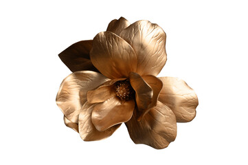 Golden flowers on transparent background ,PNG	
