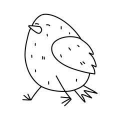 Adorable chick. Hand drawn doodle style. Vector illustration isolated on white. Coloring page.