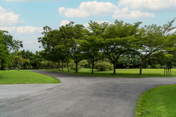 Empty street, green city park with blue sky. Pathway and beautiful trees track for running or walking and cycling relax in park on green grass field on the side. Sunlight and flare background concept