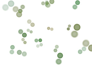 Nature's Symphony Unveiled Transparent Green Bokeh Illuminating the Elements