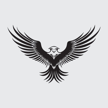 Vector of a black and white illustration of an eagle in flight.