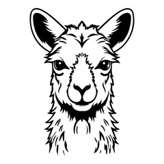Llama Face and Head Clipart, Alpaca animal logo, portrait of a Llama © Ann