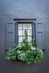 Fototapeta na wymiar Close up of the color windows of a colonial era home in Charleston, South Carolina
