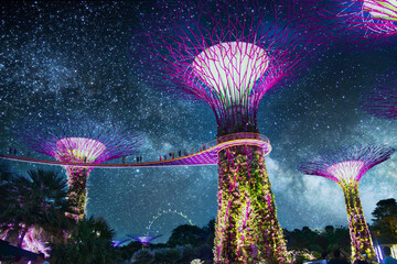 The Super Trees at the Singapore Gardens by the Bay with the galaxy in the sky.