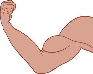 Muscle arm drawing clipart