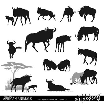 Safari Animal Silhouette Images – Browse 100,238 Stock Photos, Vectors