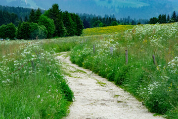 path in the mountains