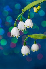 青いキラキラ背景のスノーフレーク