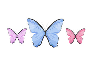 watercolor butterfly vector margarita mariposa stationery,mug,t shirt,phone case fashion slogan style spring summer sticker 