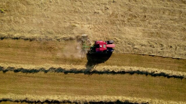 Tractor with hay tedder making rows from dry straw in harvested wheat field. Hay rolls as forage feed for livestock. Work in agronomic farm for making business and production organic eco bio animal