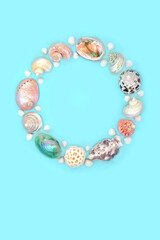 Mother of pearl seashell wreath on pastel blue background. Large collection of exotic and tropical...
