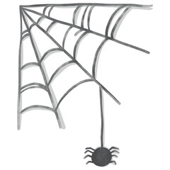 A spider's web, and there are spiders in it.