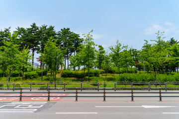 road side view. There is a park with several trees next to a road with a barrier fence that reads "jaywalking prohibited" written in Korean.