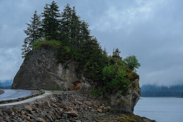 Fototapeta premium Rocks and stone beaches with lush vegetation jungle rain forest trees and bushes on rocky Alaska coastline near Hoonah, Icy Strait Point with beautiful nature landscape scenery