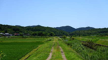 日本の山々　広葉樹　針葉樹　田舎の風景