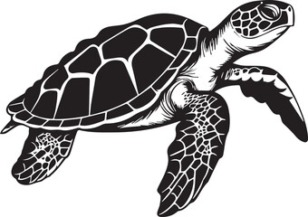 Turtle Tortoise Reptile Water Animal