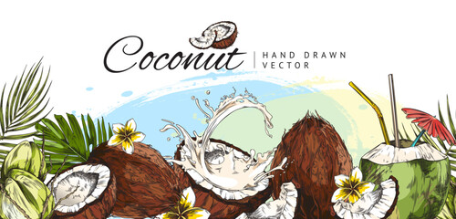 Vector colorfull sketch whole, half, slice coconuts with palm leaf, hand drawn illustration tropical coconut cocktails with straw and umbrella