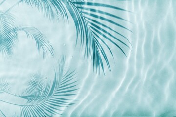 Fototapeta na wymiar Palm tree shadow on a Blue water