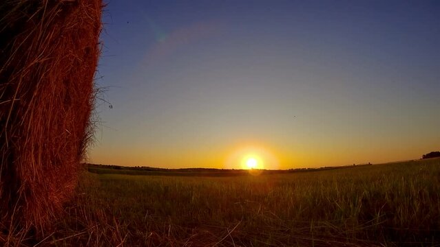 Cut hay in round bales on agriculture meadow at sunset timelapse. Time lapse agronomic farm for livestock business and production organic eco bio feed. Blue sky with moving sun and clouds. From