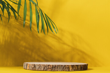 Wooden cut podium on yellow background with palm tree shadow. Stand for the presentation of beauty...