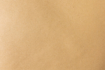 Paper texture background or cardboard surface. For the design, collage, and nature background