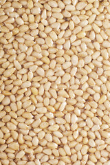 Grains of peeled pine nuts in vacuum packaging close-up in full screen.