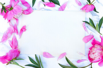 Fototapeta na wymiar Beautiful flowers-pink peonies on a white monochrome background.