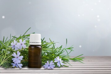 Bottles of essential oil and plants on wooden table