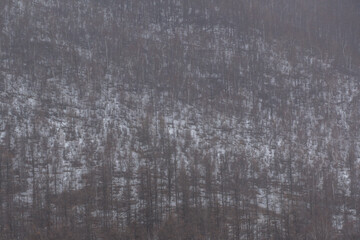Gorkhi-Terelj National Park in Mongolia