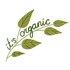 Hand drawn illustration of organic green label sticker with green leaves. Nature ecological environmental sign element, lime leaf branch, hand lettering words, farm market food.