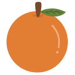 illustration of an orange