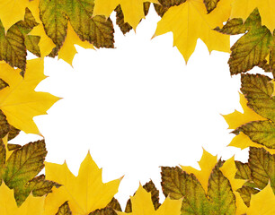 Naklejka na ściany i meble Autumn maple leaves in a seasonal frame isolated on white or transparent background