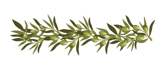 Olive branch weaving.Background with olive branch and green olives. Vegetarian food and healthy lifestyle