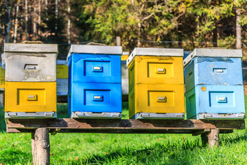 Fototapeta na wymiar Colorful box hives on the edge of the forest near the village of Twardorzeczka in Beskid Żywiecki (Poland)