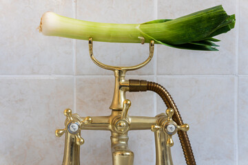 leak on a tap green vegetable leek sat on top of a bath tap concept of a water drip