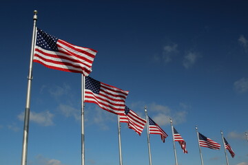 American Flags