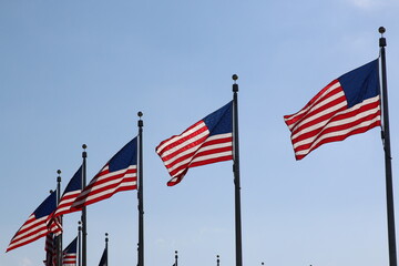 American Flags