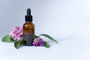 Obraz na płótnie Canvas Serum Cosmetic Bottle With Peptides And Retinol with flowers