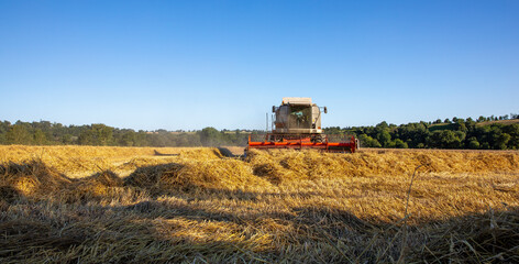 Fototapeta premium Moisson du blé par l'agriculture au volant de son tracteur dans les champs en France.