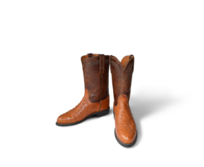 cowboy boots PNG transparent