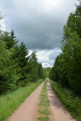 Fototapeta na wymiar Waldweg mit Gewitterwolken 