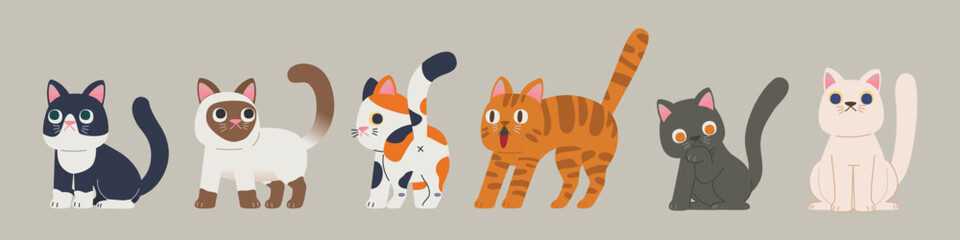 Vector Cat Characters: Meet 5 Unique Cat Breeds in Adorable Cartoon Style for International Cat Day