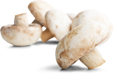 Fresh ripe whole champignon mushroom on the desk