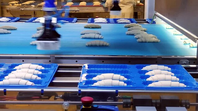 Closeup. A smart robotic arm places croissants on a baking sheet. Smart robotic arm speeds up work in croissant production. A smart robotic arm works with high precision in a food factory.