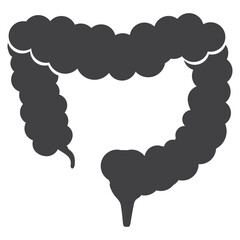 large intestine human organ