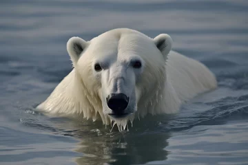 Fotobehang Polar bear in water, Generative AI © Kenishirotie